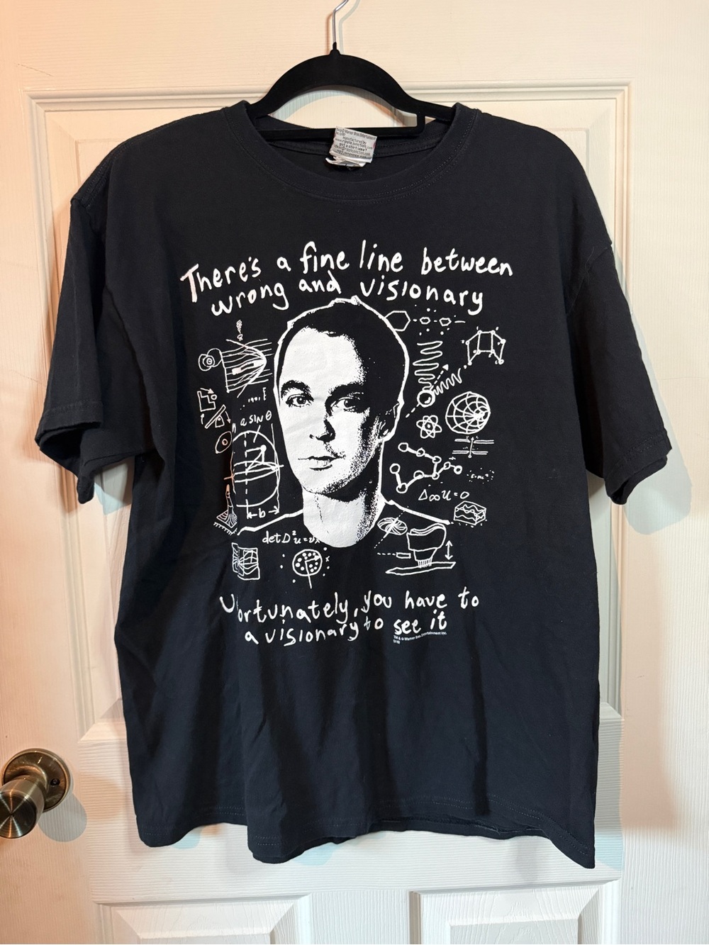 Big Bang Theory Ripple Junction Fine Line Between Wrong and Visionary Size Large